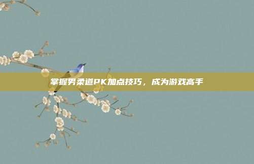 掌握男柔道PK加点技巧，成为游戏高手