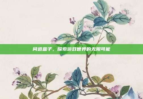 问道盒子，探索游戏世界的无限可能