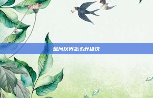 楚河汉界怎么升级快
