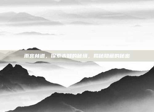 雨宫林道，探索未知的秘境，揭秘隐藏的秘密