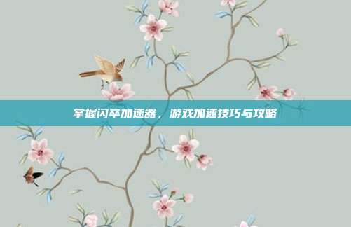 掌握闪卒加速器，游戏加速技巧与攻略