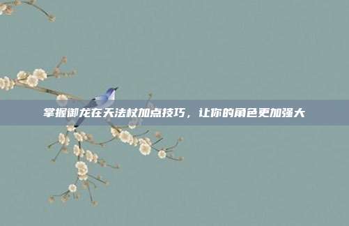 掌握御龙在天法杖加点技巧，让你的角色更加强大