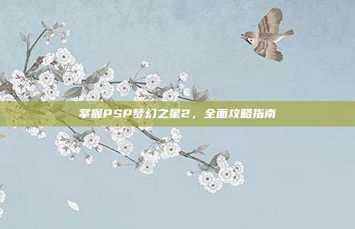 掌握PSP梦幻之星2，全面攻略指南
