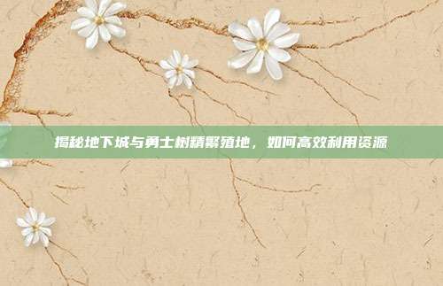 揭秘地下城与勇士树精繁殖地，如何高效利用资源