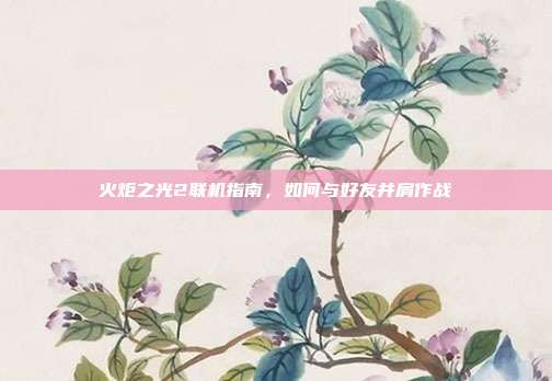 火炬之光2联机指南，如何与好友并肩作战
