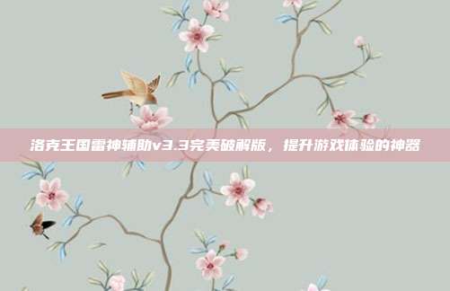 洛克王国雷神辅助v3.3完美破解版，提升游戏体验的神器