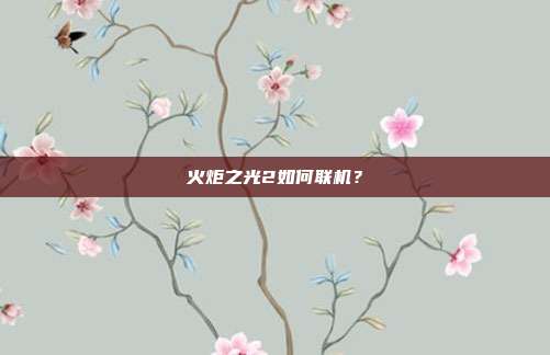 火炬之光2如何联机？