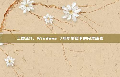 三国志11，Windows 7操作系统下的完美体验