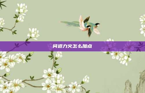 问道力火怎么加点