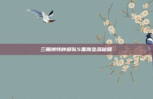 三角洲特种部队5黑鹰坠落秘籍