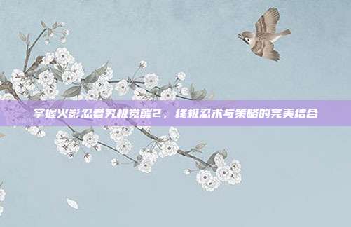 掌握火影忍者究极觉醒2，终极忍术与策略的完美结合