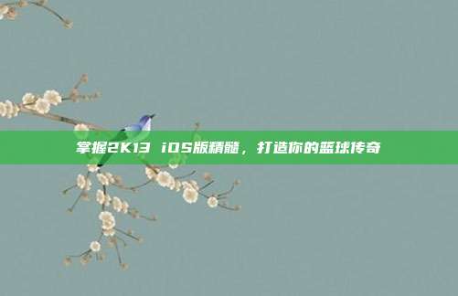 掌握2K13 iOS版精髓，打造你的篮球传奇