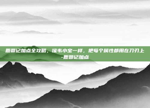鹿鼎记加点全攻略，像韦小宝一样，把每个属性都用在刀刃上-鹿鼎记加点