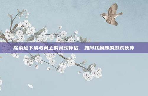 探索地下城与勇士的灵魂伴侣，如何找到你的游戏伙伴