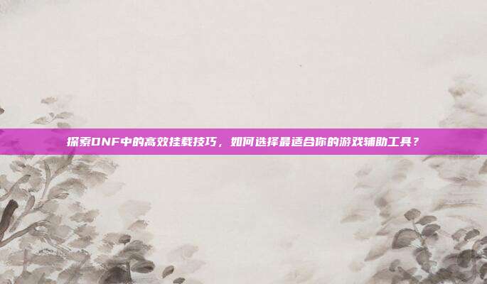 探索DNF中的高效挂载技巧，如何选择最适合你的游戏辅助工具？