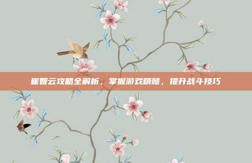 崔智云攻略全解析，掌握游戏精髓，提升战斗技巧