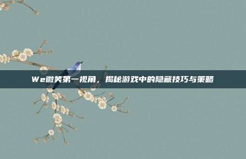 We微笑第一视角，揭秘游戏中的隐藏技巧与策略