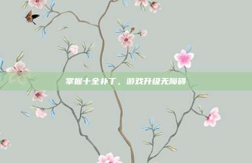 掌握十全补丁，游戏升级无障碍
