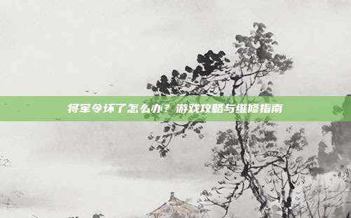 将军令坏了怎么办？游戏攻略与维修指南