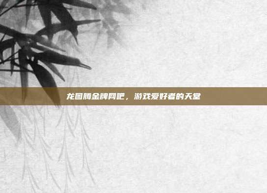 龙图腾金牌网吧，游戏爱好者的天堂