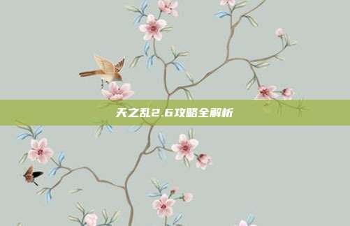 天之乱2.6攻略全解析