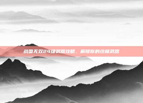 战国无双24级武器攻略，解锁你的终极武器