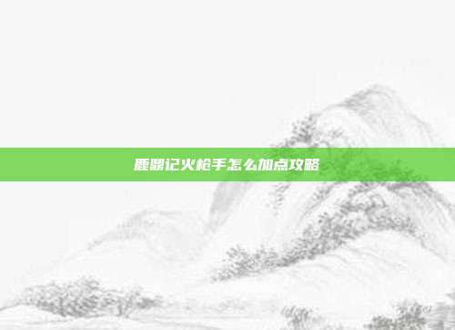 鹿鼎记火枪手怎么加点攻略