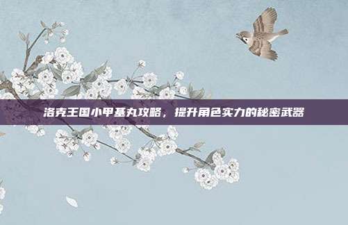 洛克王国小甲基丸攻略，提升角色实力的秘密武器