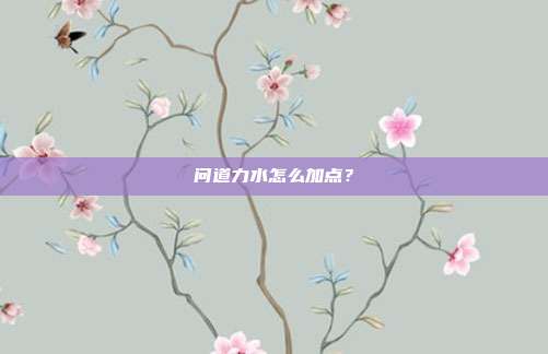 问道力水怎么加点？