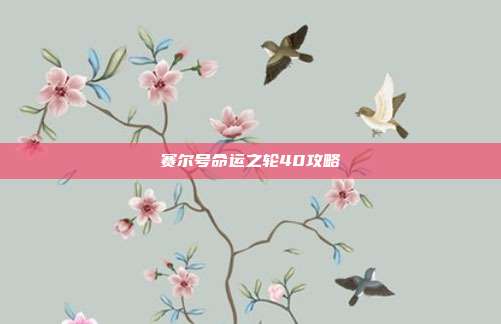 赛尔号命运之轮40攻略