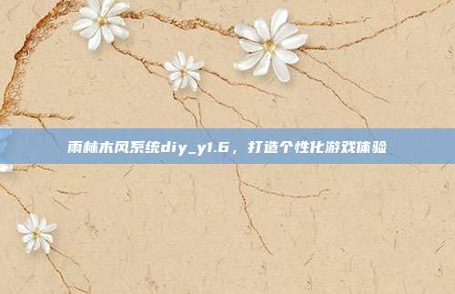 雨林木风系统diy_y1.6，打造个性化游戏体验