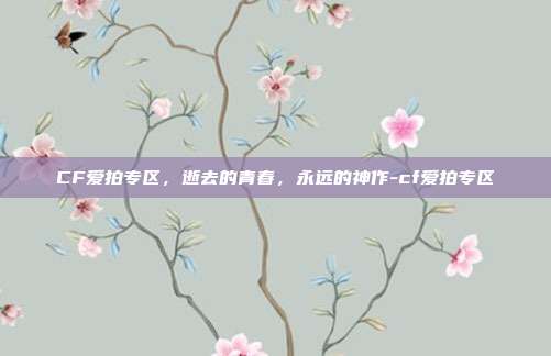 CF爱拍专区，逝去的青春，永远的神作-cf爱拍专区