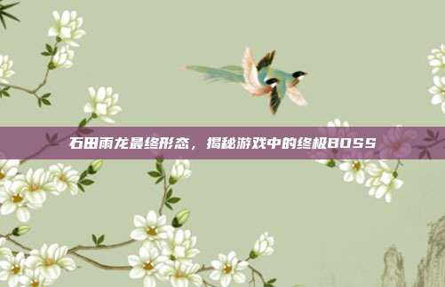 石田雨龙最终形态，揭秘游戏中的终极BOSS