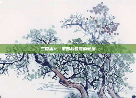 三国志11，策略与智慧的较量