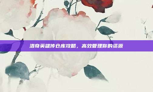 洛奇英雄传仓库攻略，高效管理你的资源