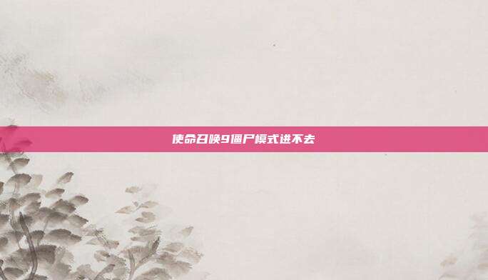 使命召唤9僵尸模式进不去
