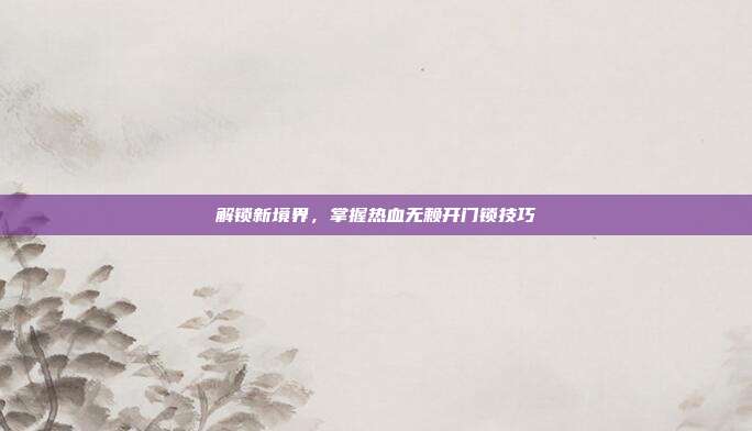 解锁新境界，掌握热血无赖开门锁技巧