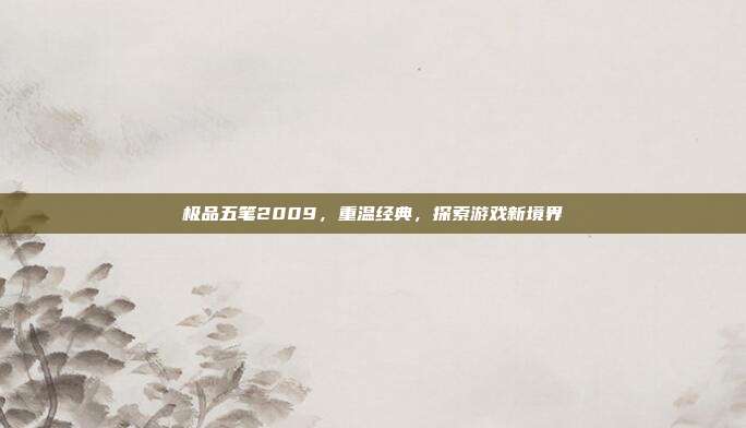 极品五笔2009，重温经典，探索游戏新境界