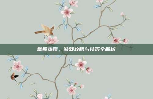 掌握热翔，游戏攻略与技巧全解析