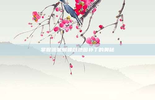 掌握流星蝴蝶剑地图补丁的奥秘