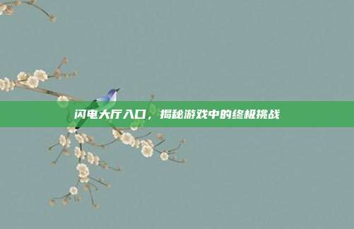 闪电大厅入口，揭秘游戏中的终极挑战
