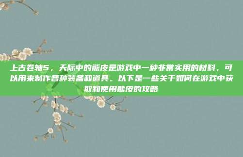 上古卷轴5，天际中的熊皮是游戏中一种非常实用的材料，可以用来制作各种装备和道具。以下是一些关于如何在游戏中获取和使用熊皮的攻略