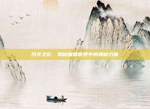 月牙之影，揭秘魔兽世界中的神秘力量