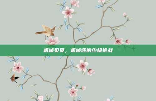 机械贝贝，机械迷的终极挑战