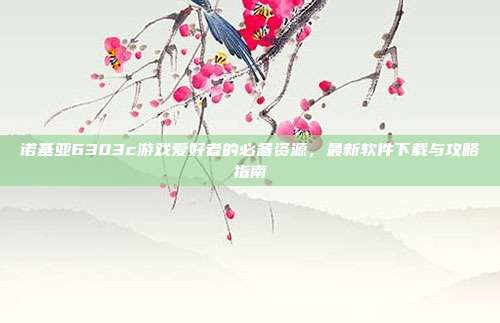 诺基亚6303c游戏爱好者的必备资源，最新软件下载与攻略指南