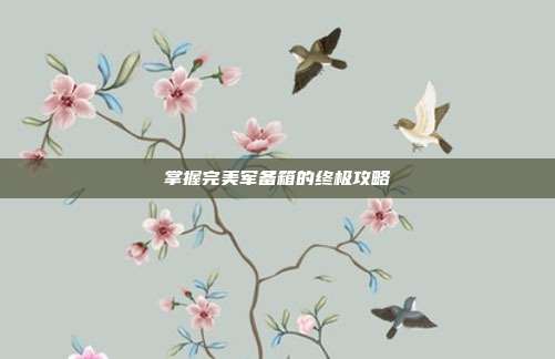 掌握完美军备箱的终极攻略