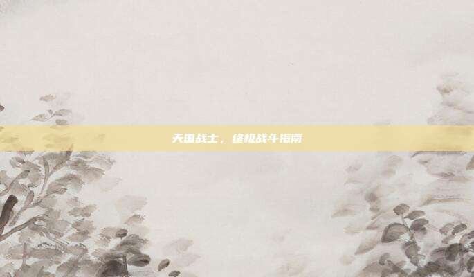 天国战士，终极战斗指南