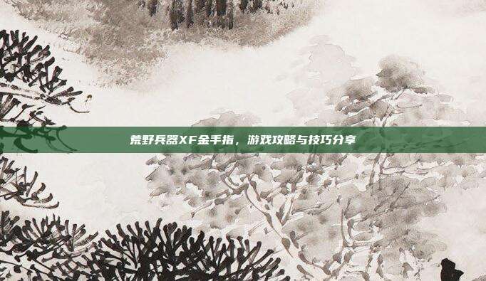 荒野兵器XF金手指，游戏攻略与技巧分享