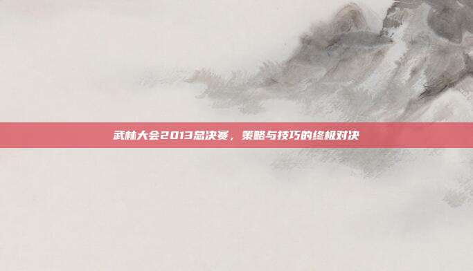 武林大会2013总决赛，策略与技巧的终极对决