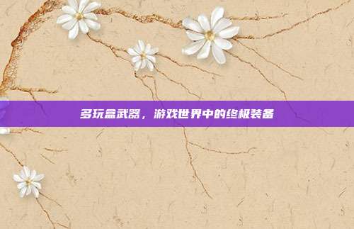 多玩盒武器，游戏世界中的终极装备